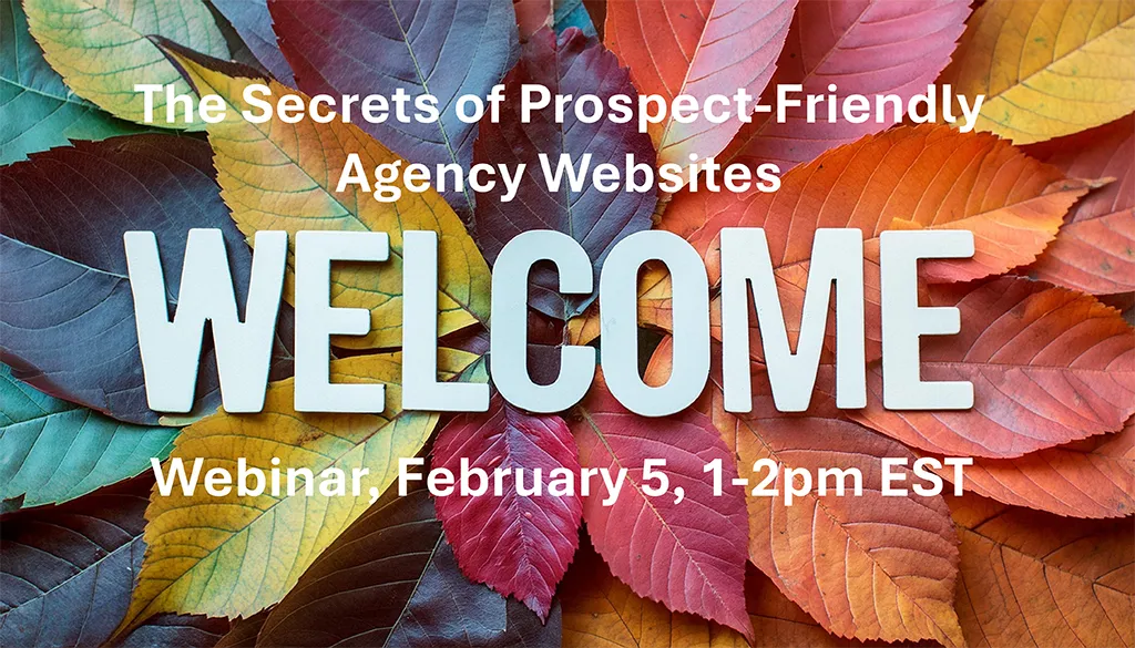 Secrets of Prospect-Friendly Agency Websites